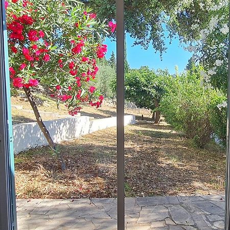 Domaine De La Navicelle Villa Le Pradet Dış mekan fotoğraf