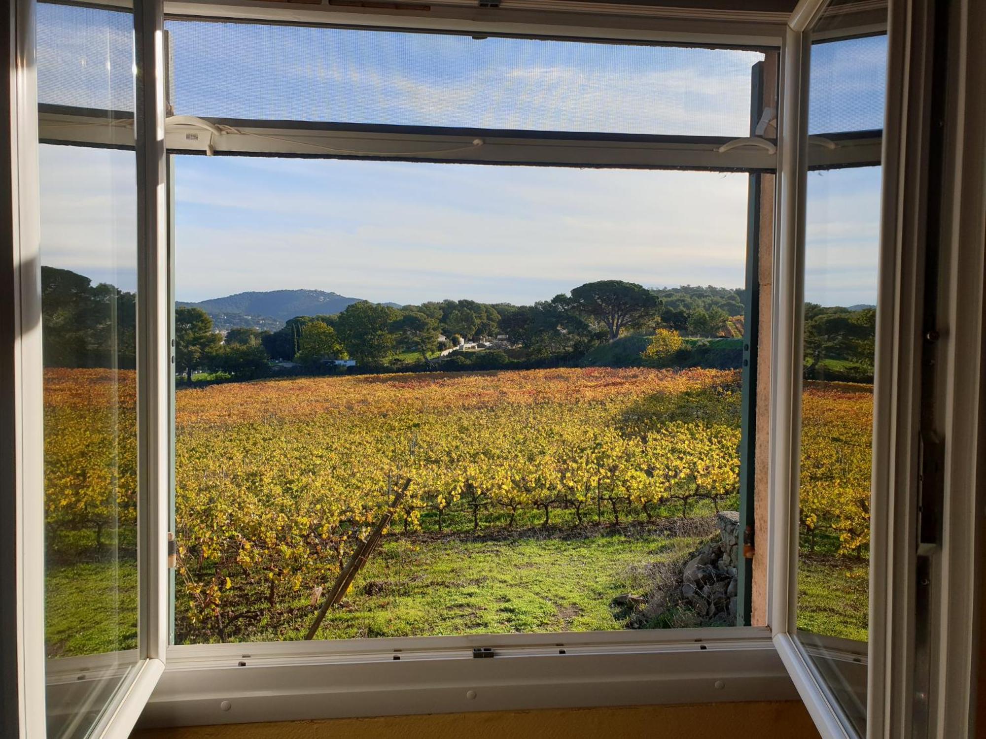Domaine De La Navicelle Villa Le Pradet Dış mekan fotoğraf