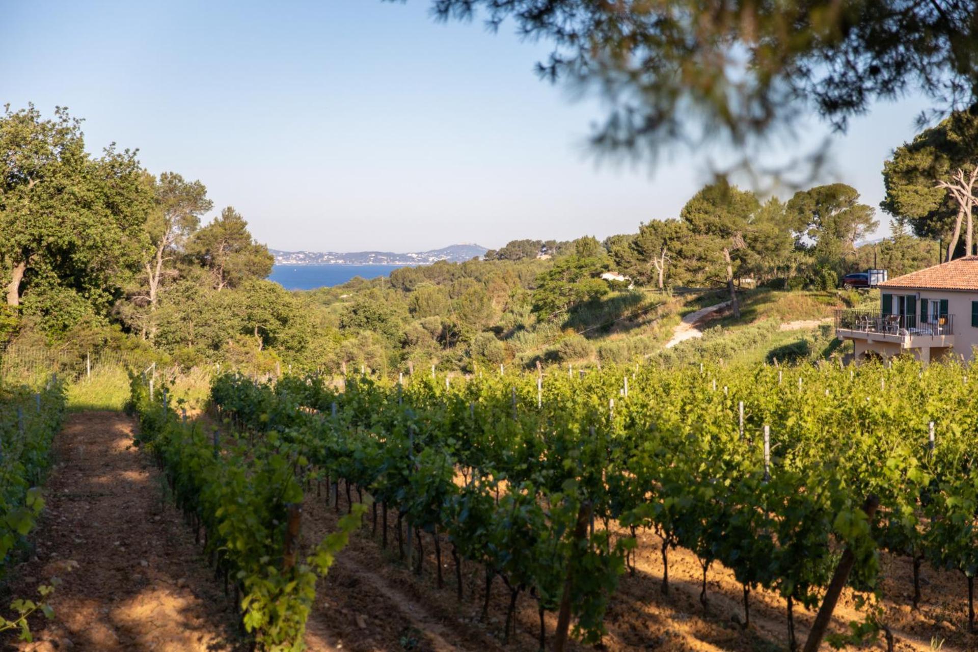 Domaine De La Navicelle Villa Le Pradet Dış mekan fotoğraf