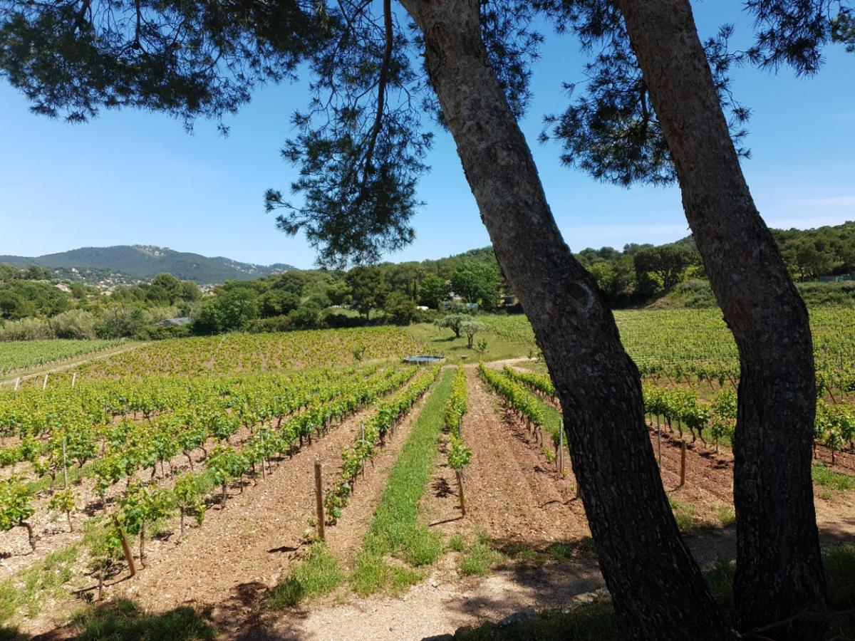 Domaine De La Navicelle Villa Le Pradet Dış mekan fotoğraf